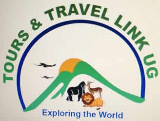 Logo – Tours Link