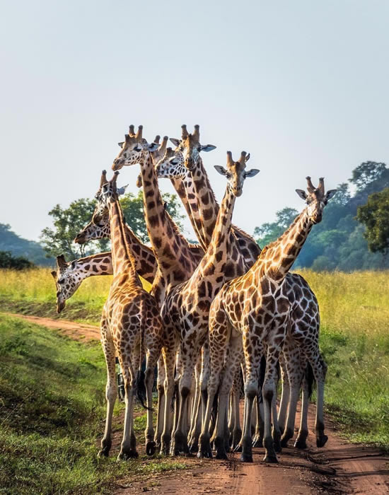 Kidepo Valley