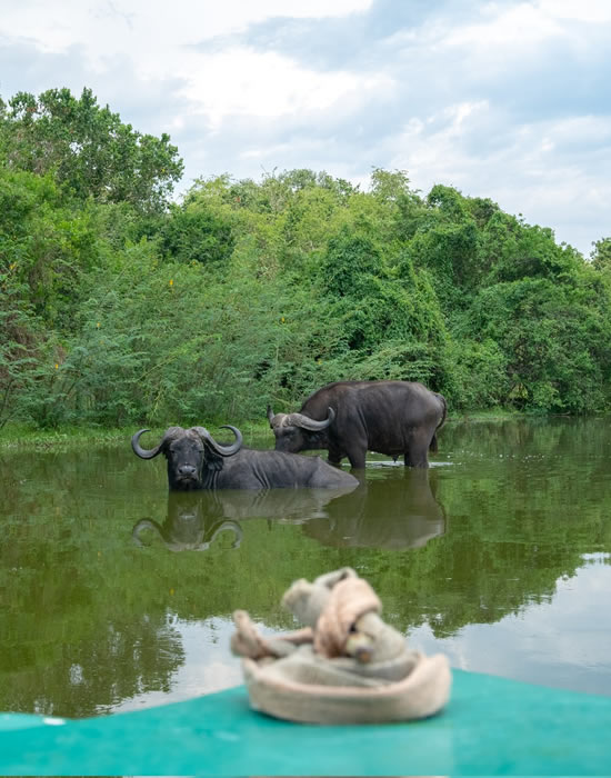 Lake Mburo National Park